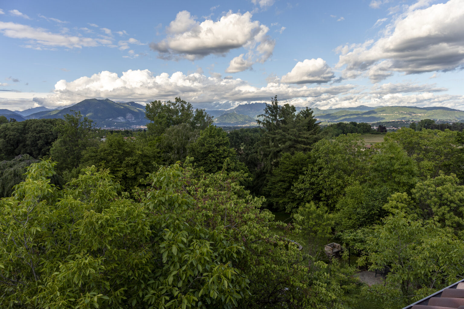 il parco - ronco - a casa di tina